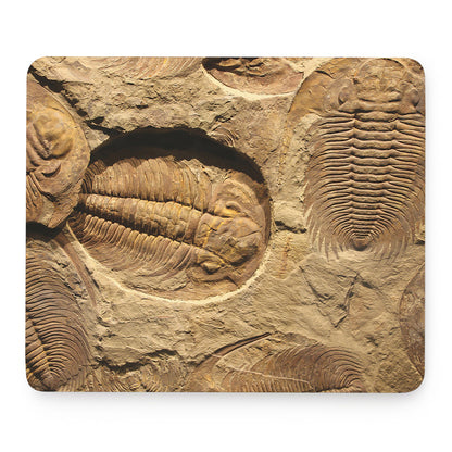 Trilobite Fossil Print Mouse Pad