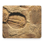 Trilobite Fossil Print Mouse Pad