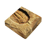 Trilobite Fossil Print Outdoor Seat Cushion Cover