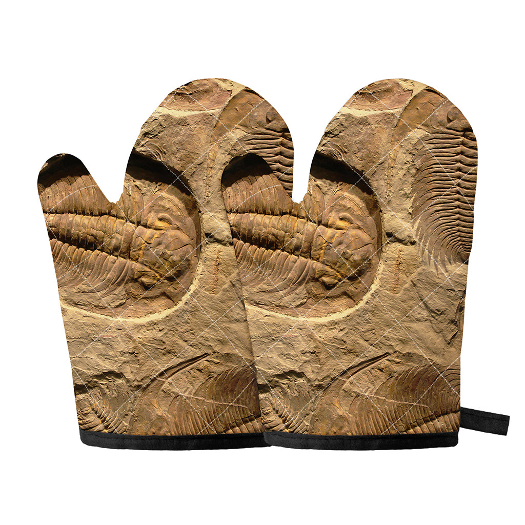 Trilobite Fossil Print Oven Mitts