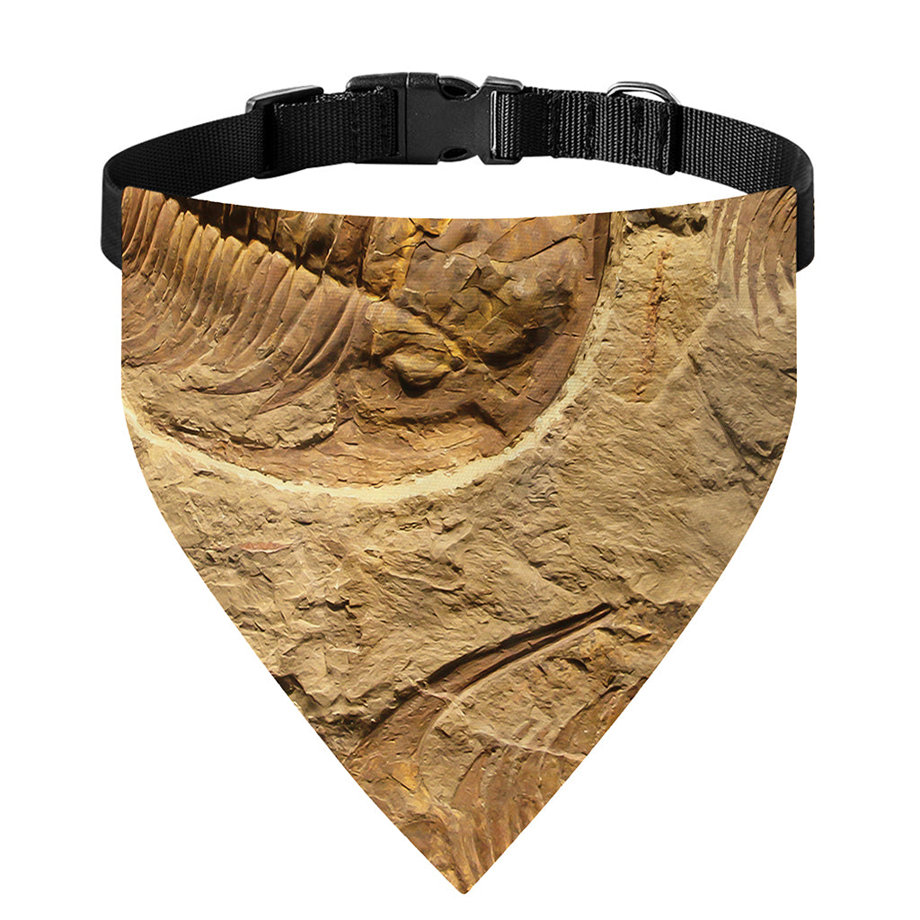 Trilobite Fossil Print Over The Collar Dog Bandana