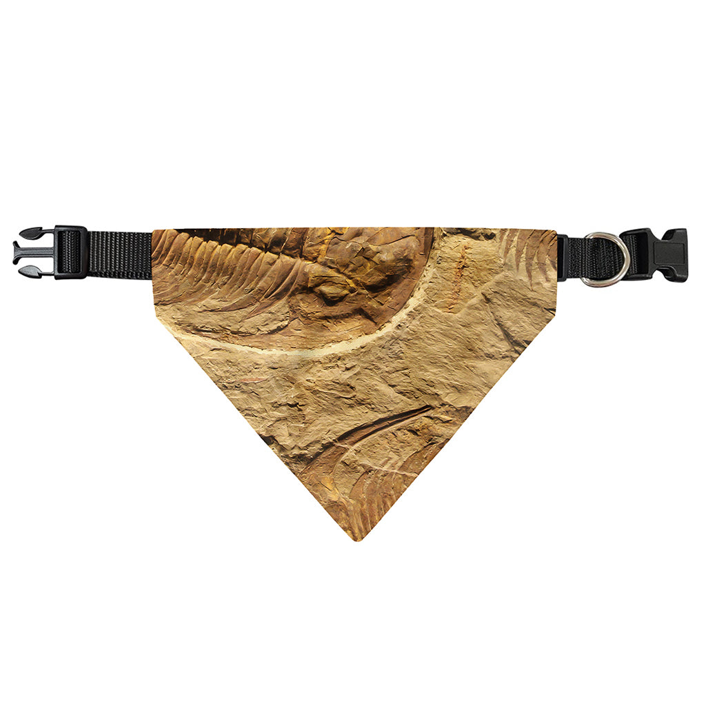 Trilobite Fossil Print Over The Collar Dog Bandana