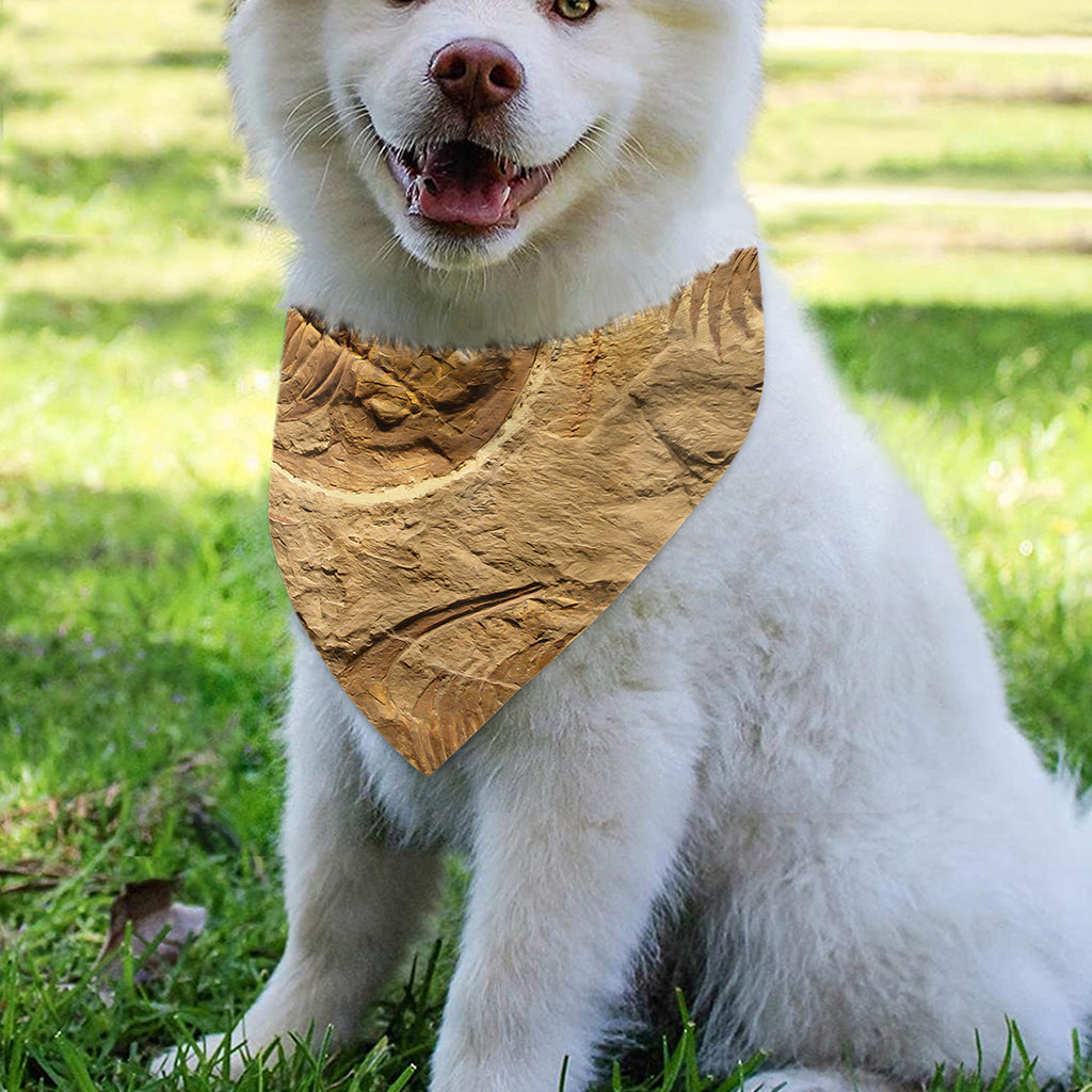 Trilobite Fossil Print Over The Collar Dog Bandana