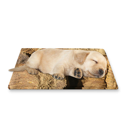 Trilobite Fossil Print Pet Cooling Mat Cover