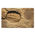 Trilobite Fossil Print Polyester Doormat
