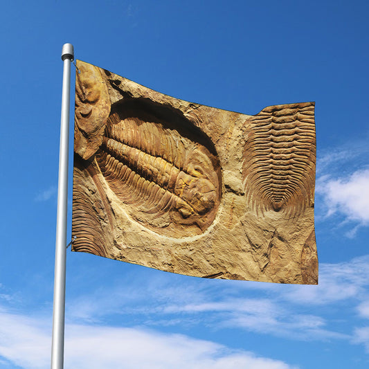 Trilobite Fossil Print Polyester Flag