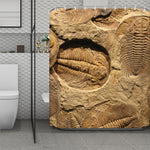 Trilobite Fossil Print Polyester Shower Curtain