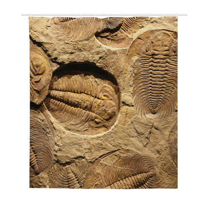 Trilobite Fossil Print Polyester Shower Curtain