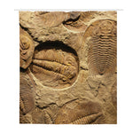 Trilobite Fossil Print Polyester Shower Curtain