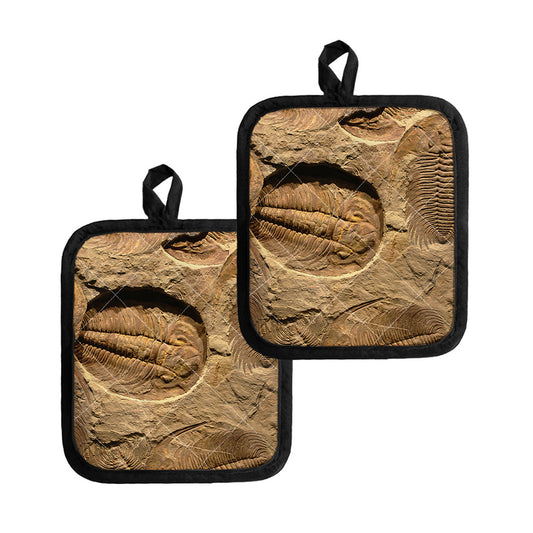 Trilobite Fossil Print Pot Holders