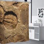 Trilobite Fossil Print Premium Shower Curtain