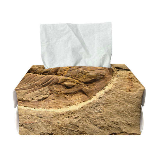 Trilobite Fossil Print Rectangle Tissue Box Cover