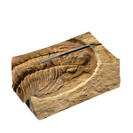 Trilobite Fossil Print Rectangle Tissue Box Cover