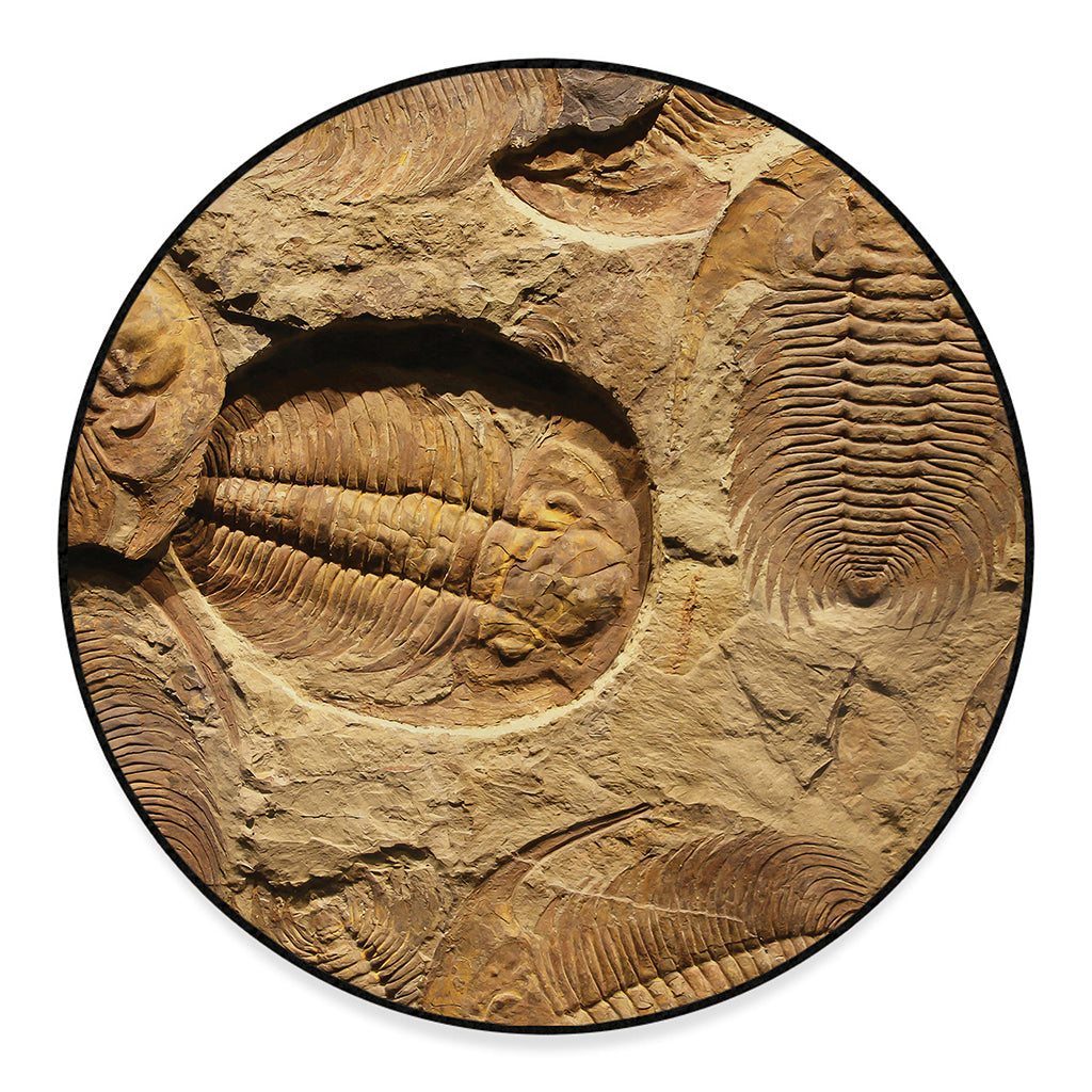 Trilobite Fossil Print Round Floor Mat