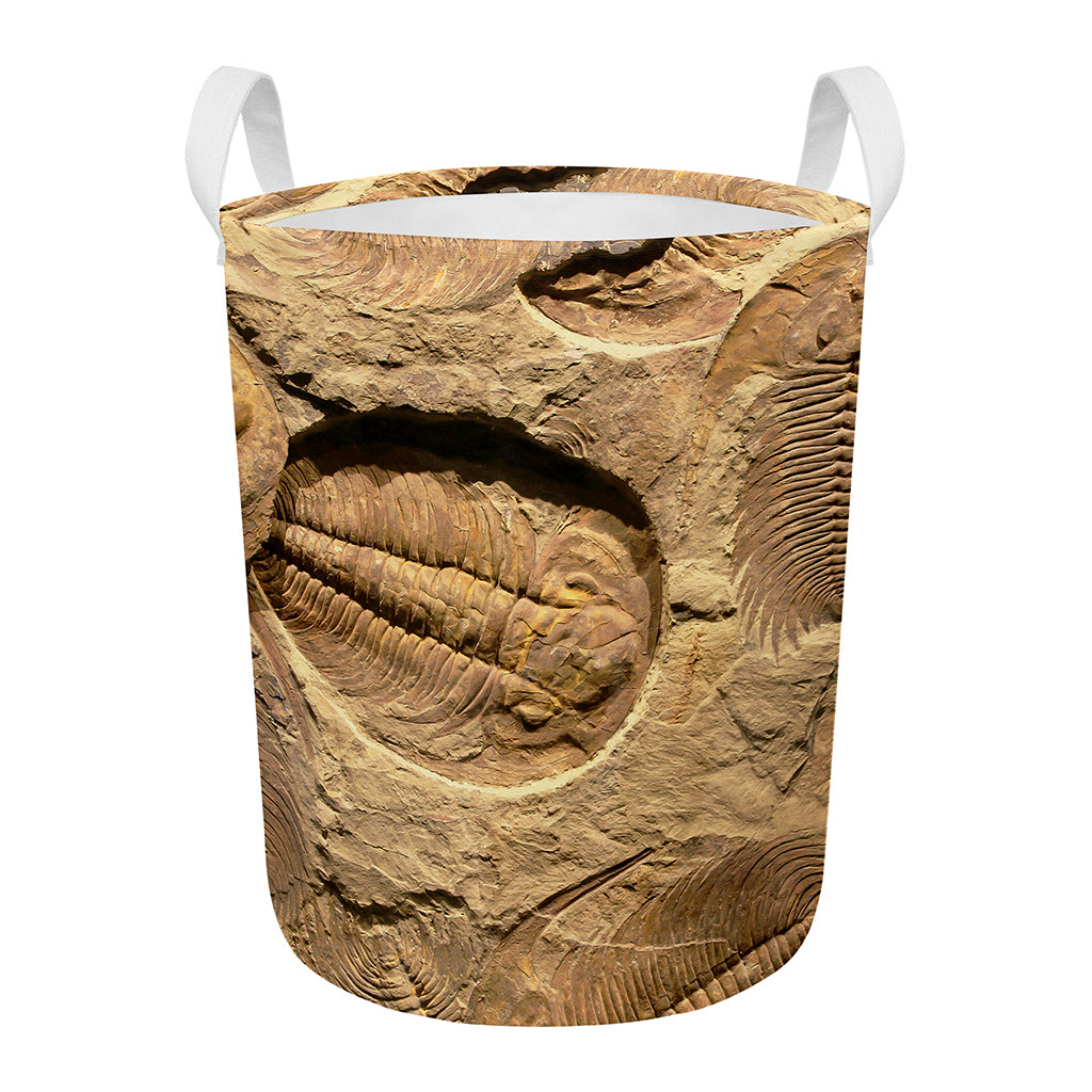 Trilobite Fossil Print Round Laundry Basket