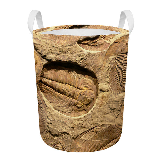 Trilobite Fossil Print Round Laundry Basket