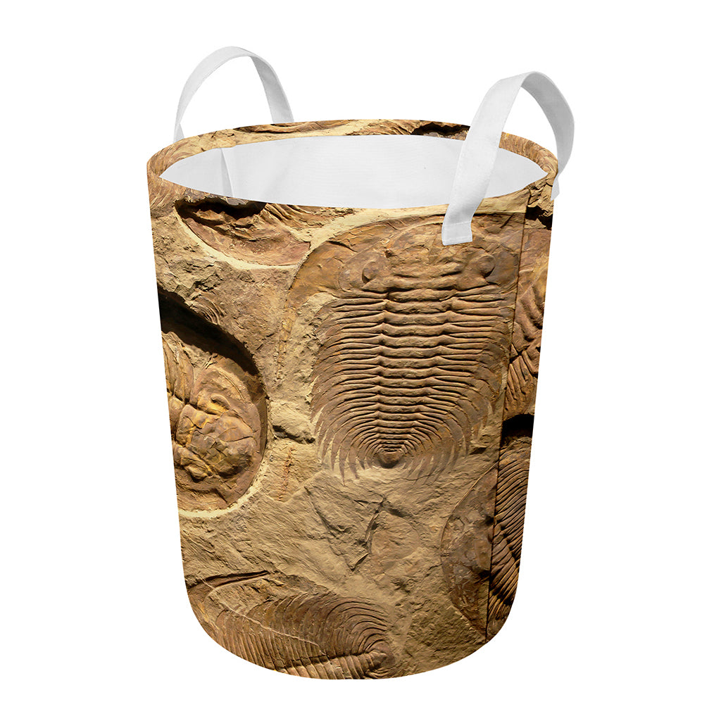 Trilobite Fossil Print Round Laundry Basket