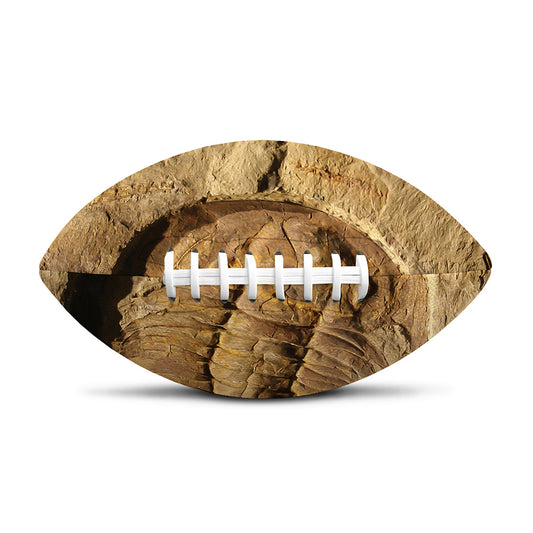 Trilobite Fossil Print Rugby Ball