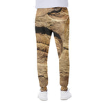 Trilobite Fossil Print Scuba Joggers