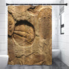 Trilobite Fossil Print Shower Curtain