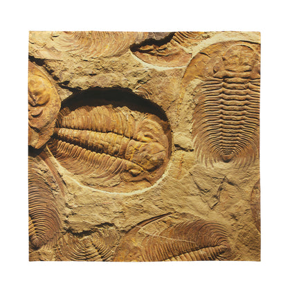 Trilobite Fossil Print Silk Bandana