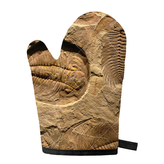 Trilobite Fossil Print Single Oven Mitt