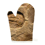 Trilobite Fossil Print Single Oven Mitt