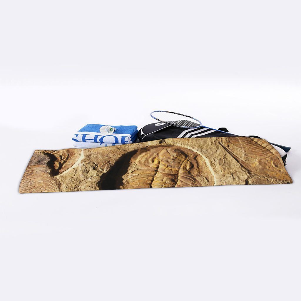 Trilobite Fossil Print Sports Towel