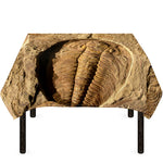 Trilobite Fossil Print Tablecloth