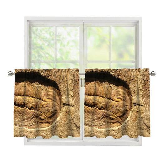 Trilobite Fossil Print Tier Curtains