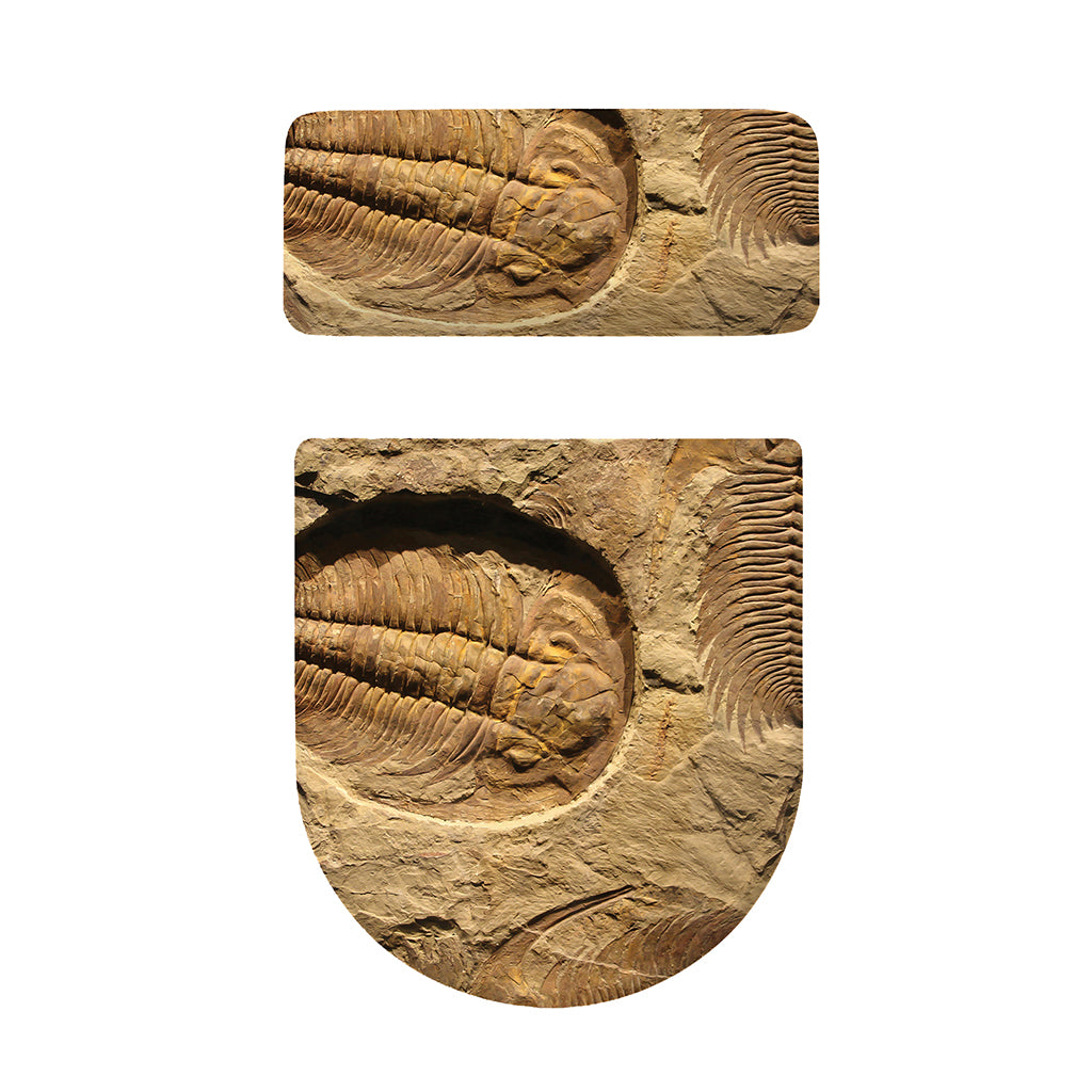 Trilobite Fossil Print Toilet Lid And Tank Cover Set