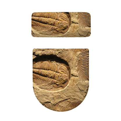 Trilobite Fossil Print Toilet Lid And Tank Cover Set