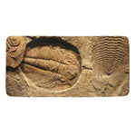 Trilobite Fossil Print Towel