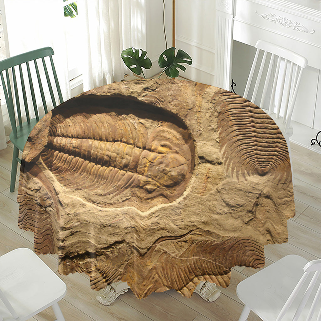 Trilobite Fossil Print Waterproof Round Tablecloth