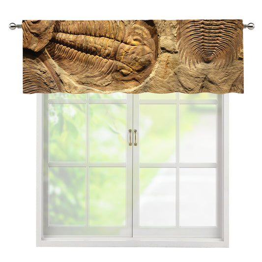 Trilobite Fossil Print Window Valance