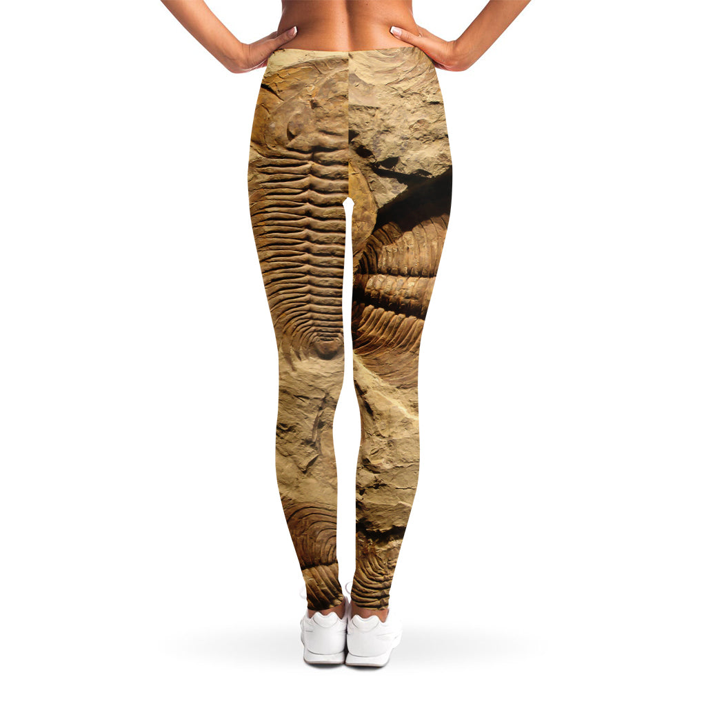 Trilobite Fossil Print Women's Leggings