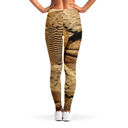 Trilobite Fossil Print Women's Leggings