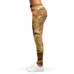 Trilobite Fossil Print Women's Leggings