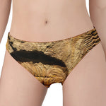 Trilobite Fossil Print Women's Panties