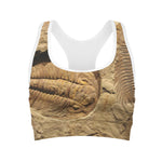 Trilobite Fossil Print Women's Sports Bra