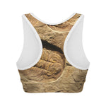 Trilobite Fossil Print Women's Sports Bra