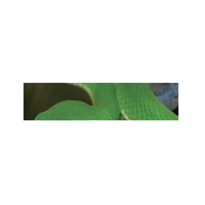 Trimeresurus Albolabris Snake Print Bed Runner
