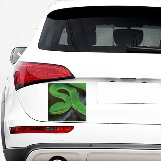 Trimeresurus Albolabris Snake Print Car Sticker