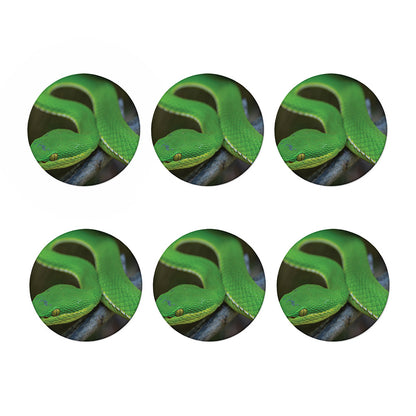 Trimeresurus Albolabris Snake Print Coaster Set