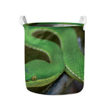Trimeresurus Albolabris Snake Print Collapsible Laundry Basket