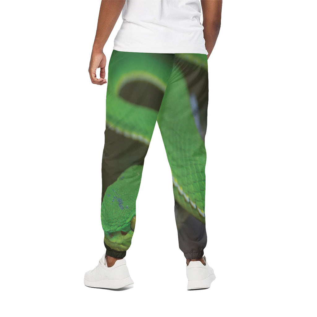 Trimeresurus Albolabris Snake Print Cotton Pants
