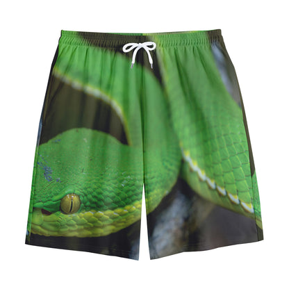 Trimeresurus Albolabris Snake Print Cotton Shorts