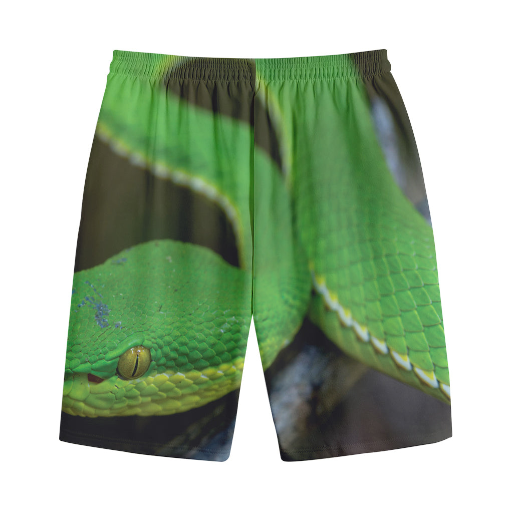 Trimeresurus Albolabris Snake Print Cotton Shorts