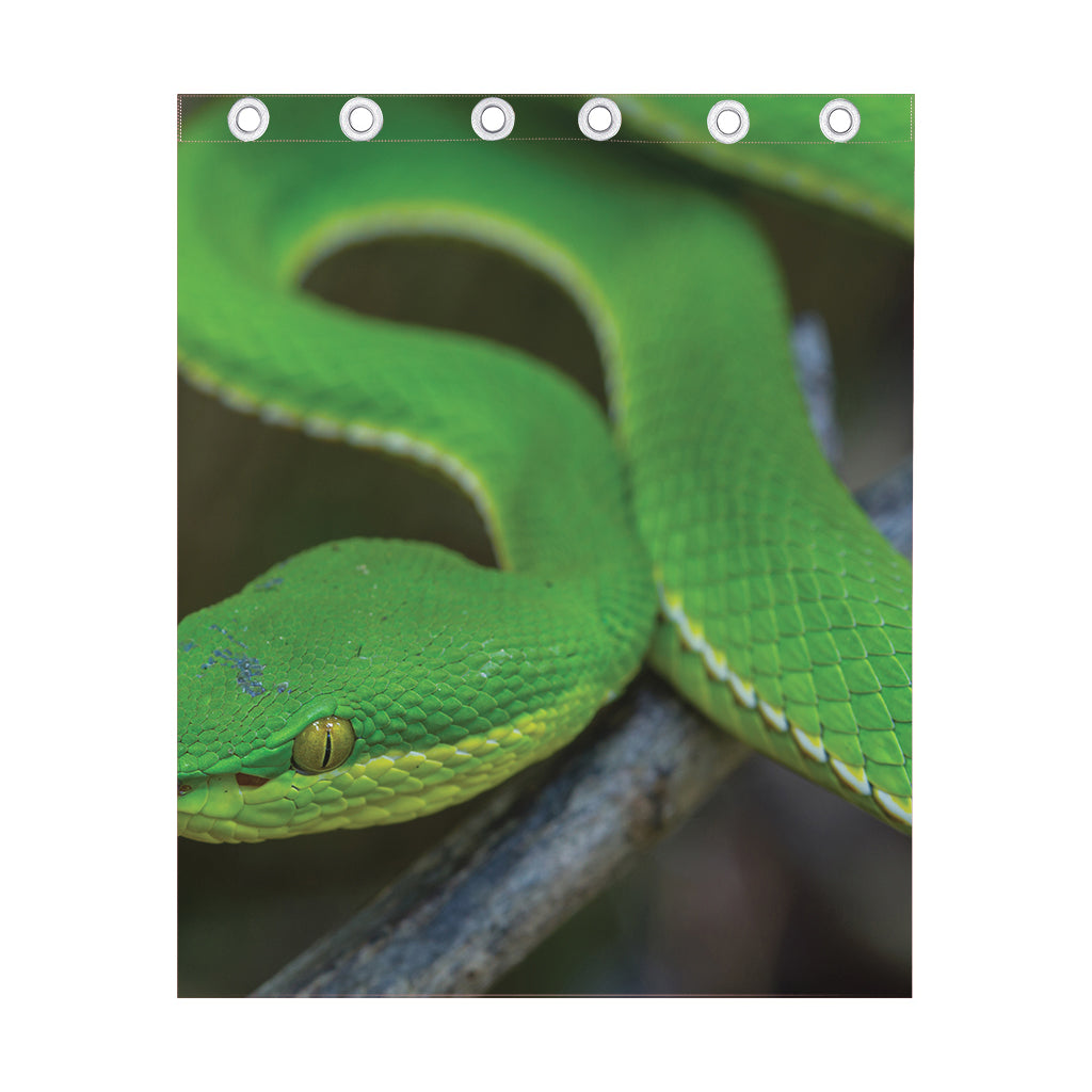 Trimeresurus Albolabris Snake Print Curtain