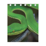 Trimeresurus Albolabris Snake Print Curtain